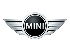 Mini Icon