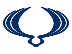 Ssangyong Icon